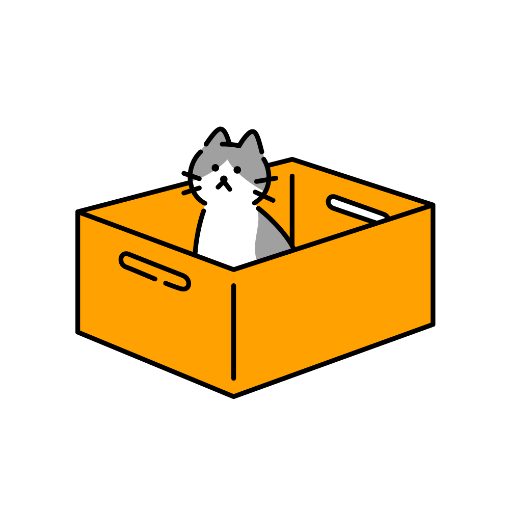 Cat in a box